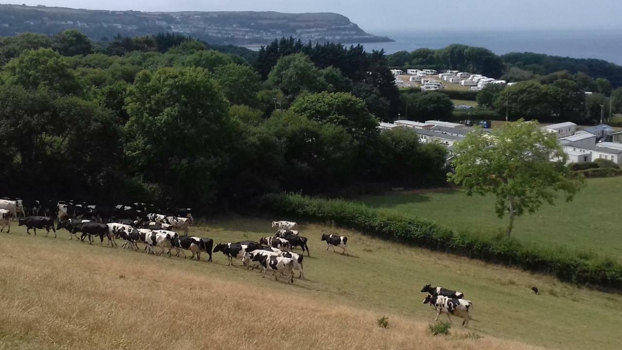 Apartmán Maes Y Mor Llanarth  Exteriér fotografie